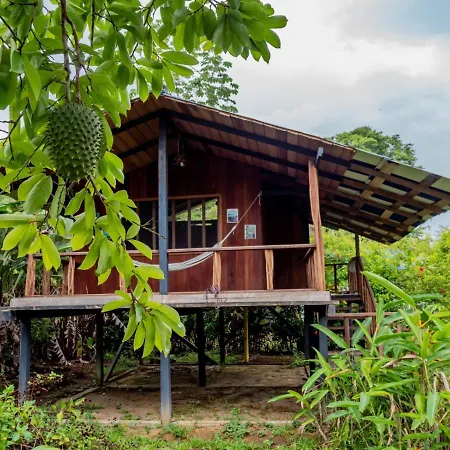 Ecohotel Riomar Mecana Bahia Solano Exterior photo