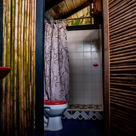 Ecohotel Riomar Mecana Bahia Solano Exterior photo