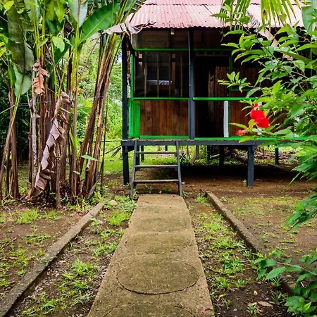 Ecohotel Riomar Mecana Bahia Solano Exterior photo