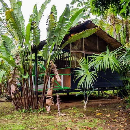Ecohotel Riomar Mecana Bahia Solano Exterior photo