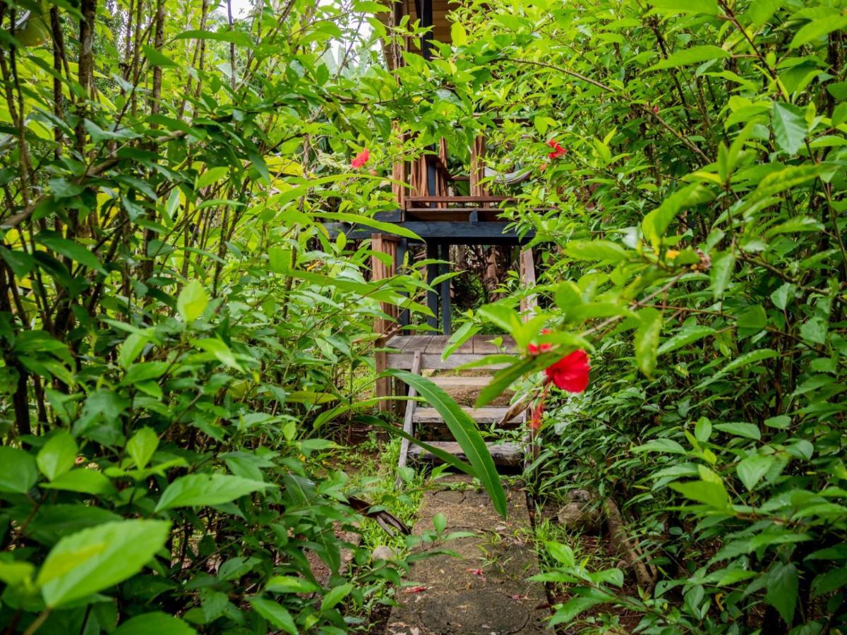 Lodge Ecohotel Riomar Mecana