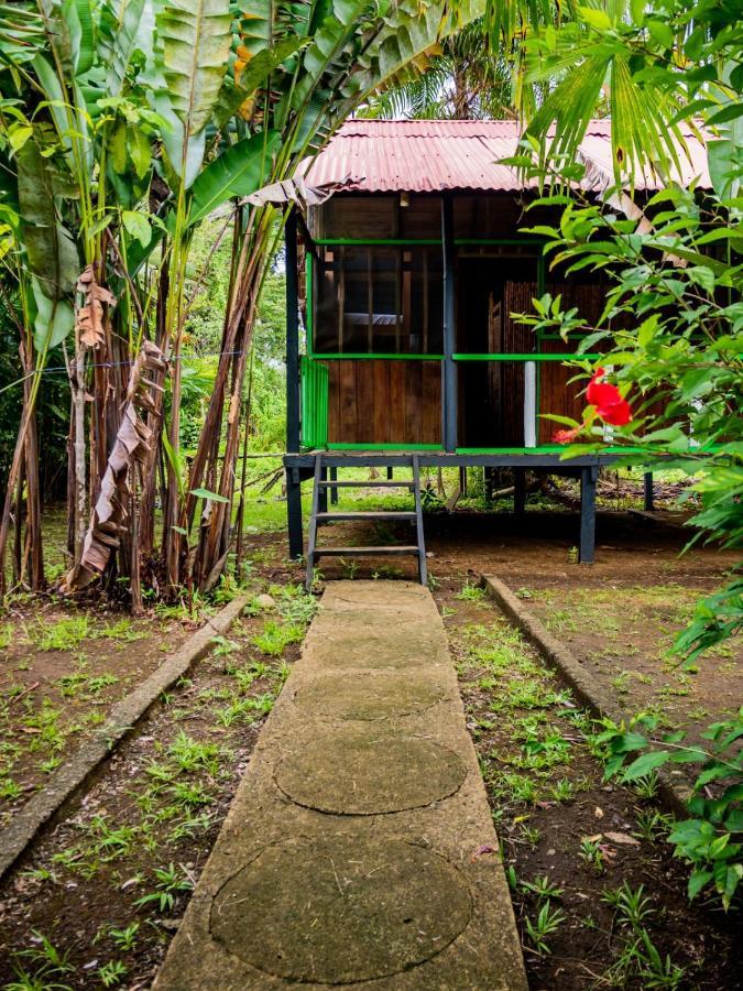 Lodge Ecohotel Riomar Mecana Bahia Solano