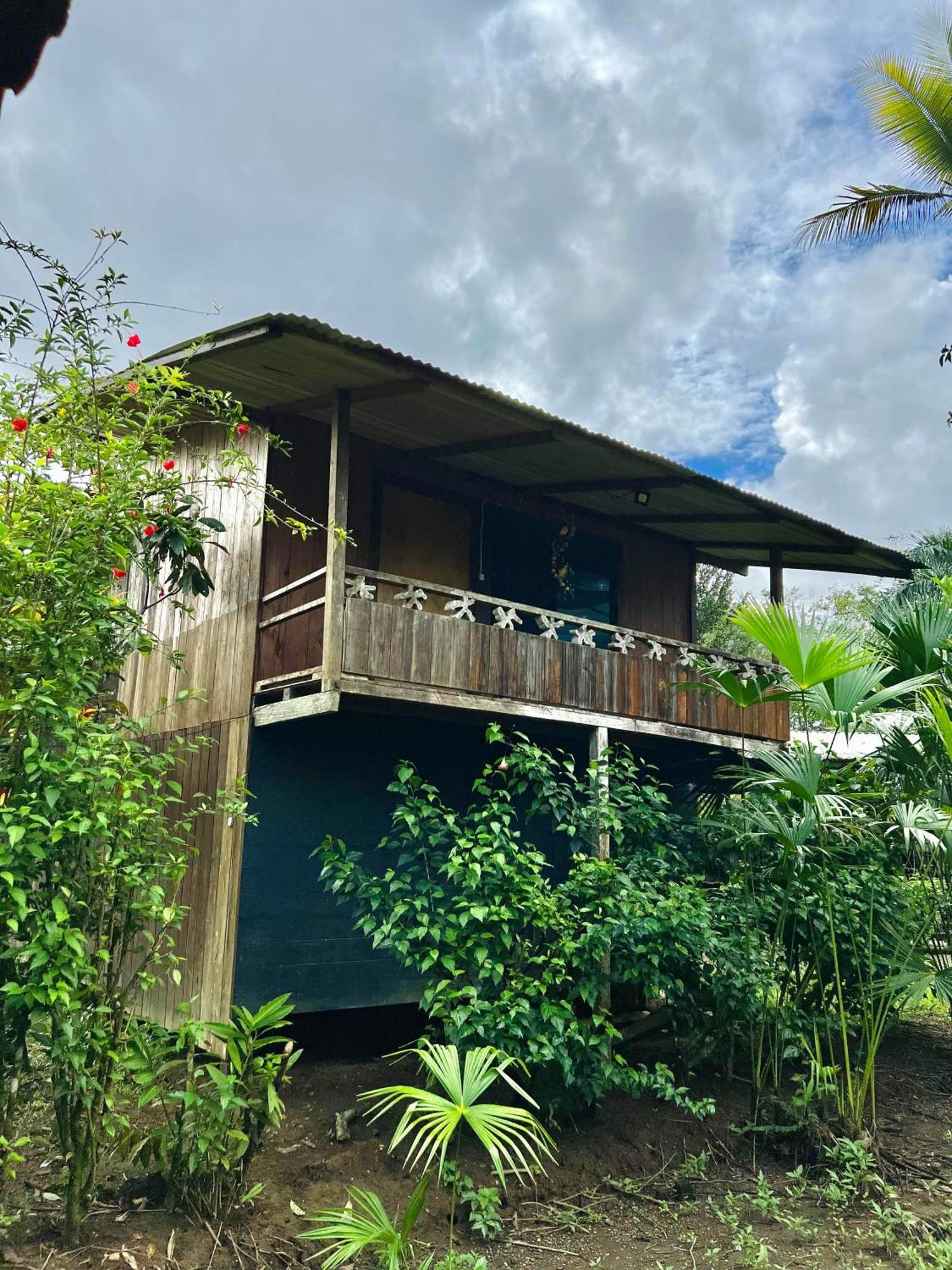 Ecohotel Riomar Mecana * Bahia Solano