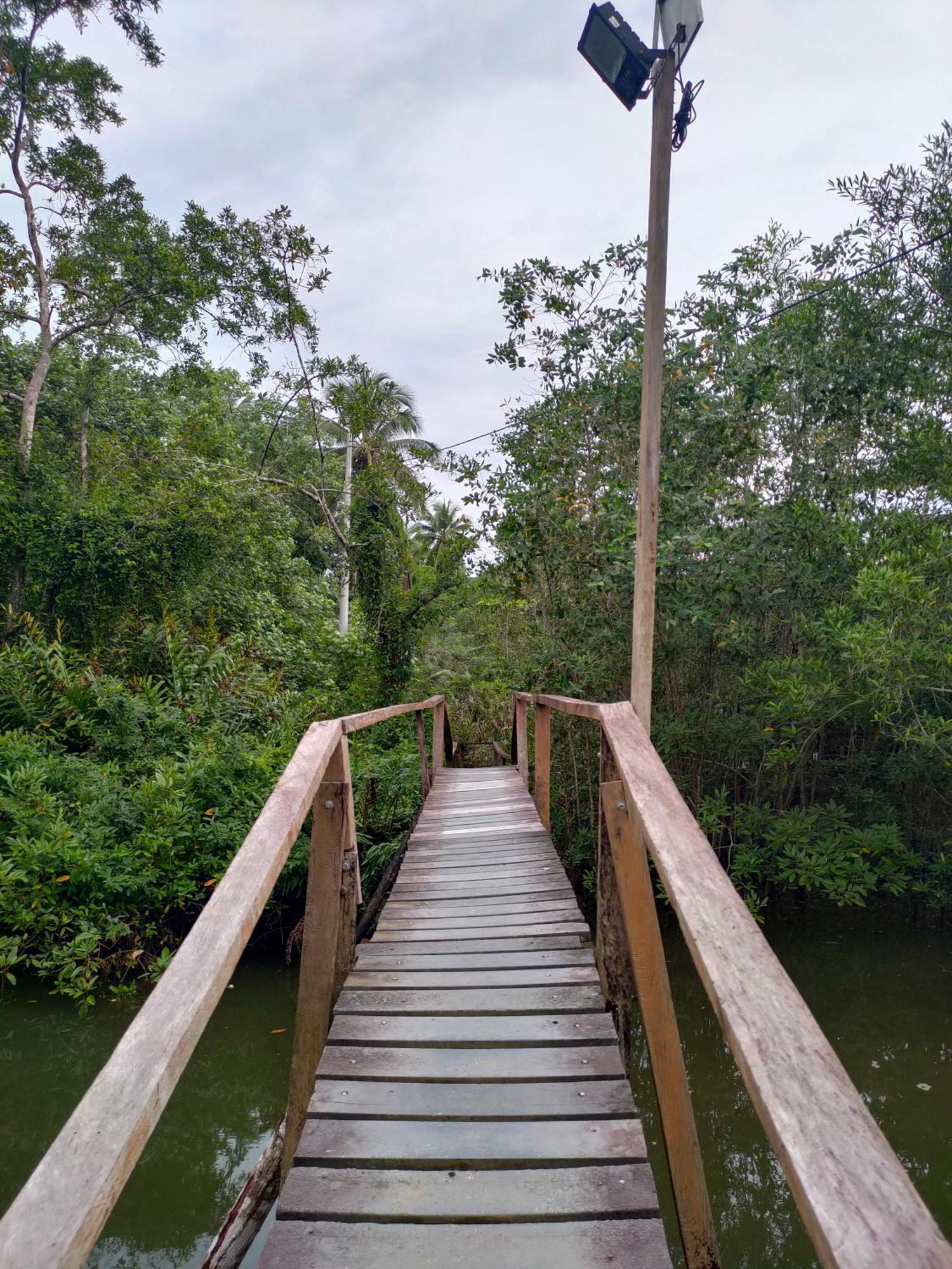 Ecohotel Riomar Mecana Lodge *